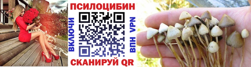 Галлюциногенные грибы MAGIC MUSHROOMS  кракен ТОР  Болгар 
